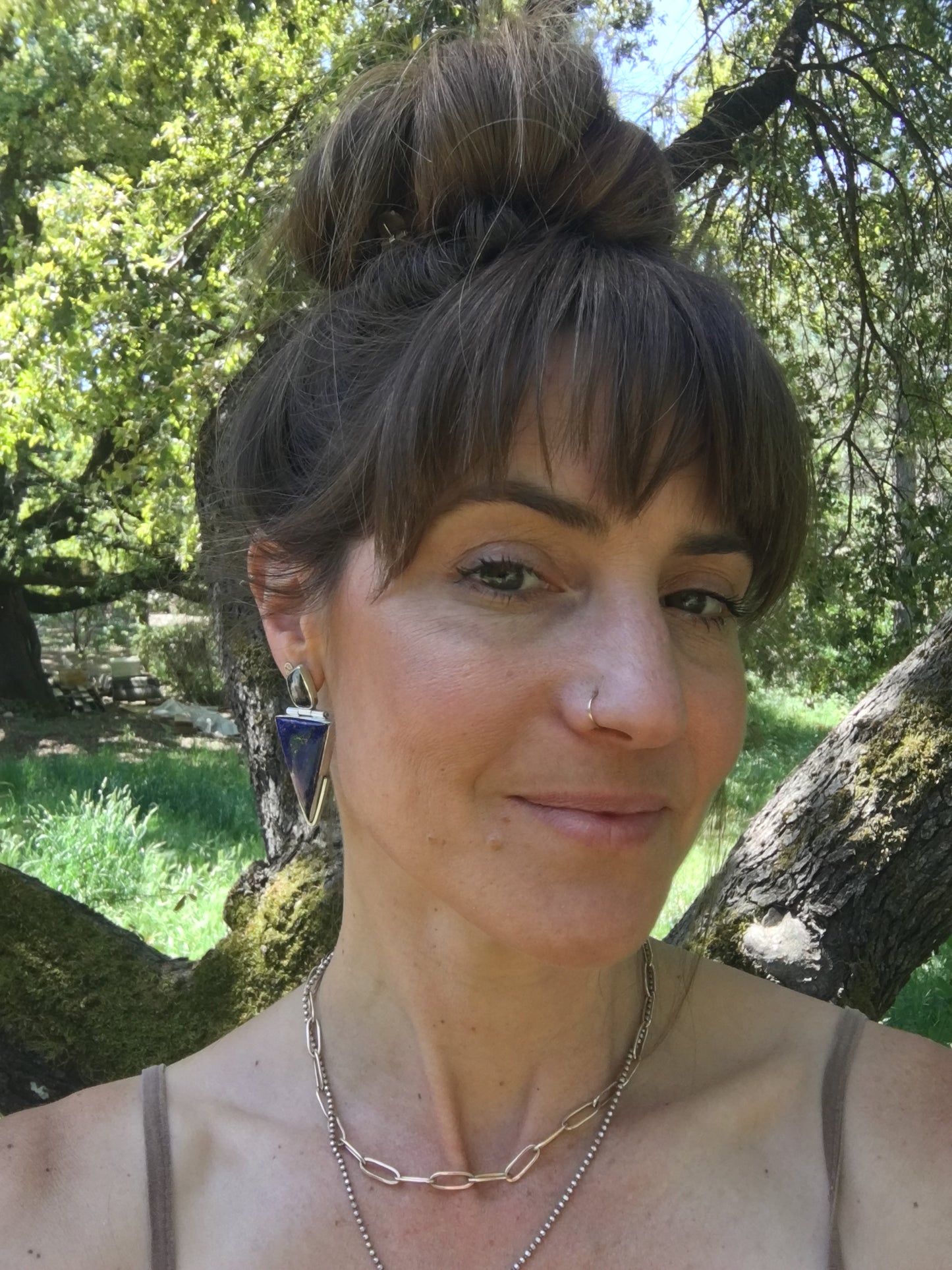 Lapis & Agate Duo Hinge Earrings
