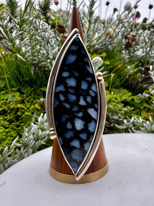 Petrified Palm Statement Ring